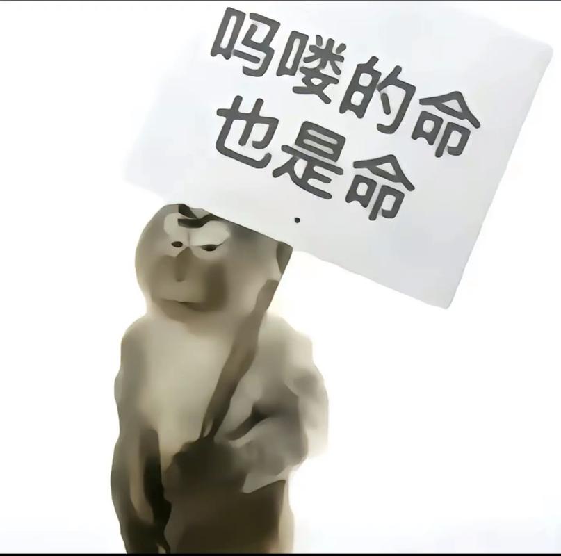 马喽的命也是命，那我的命也是命吗？这命也是命吗？