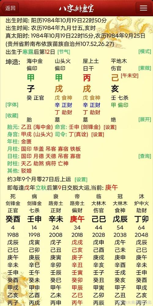 辛巳己亥甲戌是什么命，己亥和乙亥的命理一样吗？