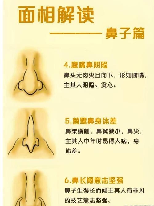 女人鼻子形状对家居风水有影响吗？