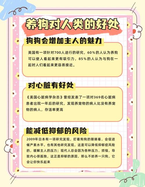 养小狗时风水讲究对狗狗好吗？