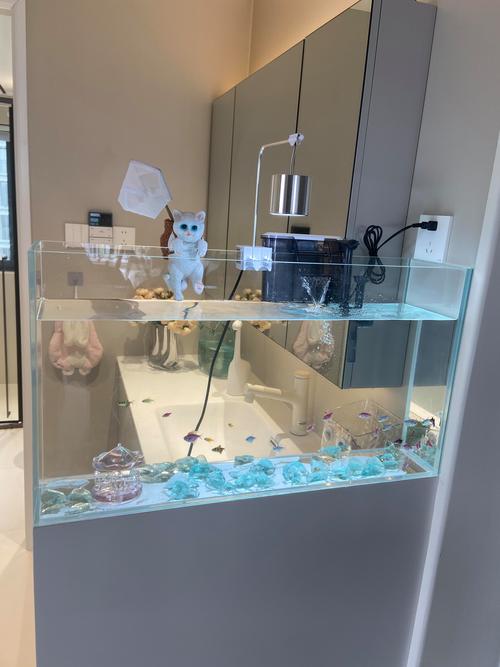 卫生间摆放风水鱼缸是否合适，有什么讲究和注意事项？