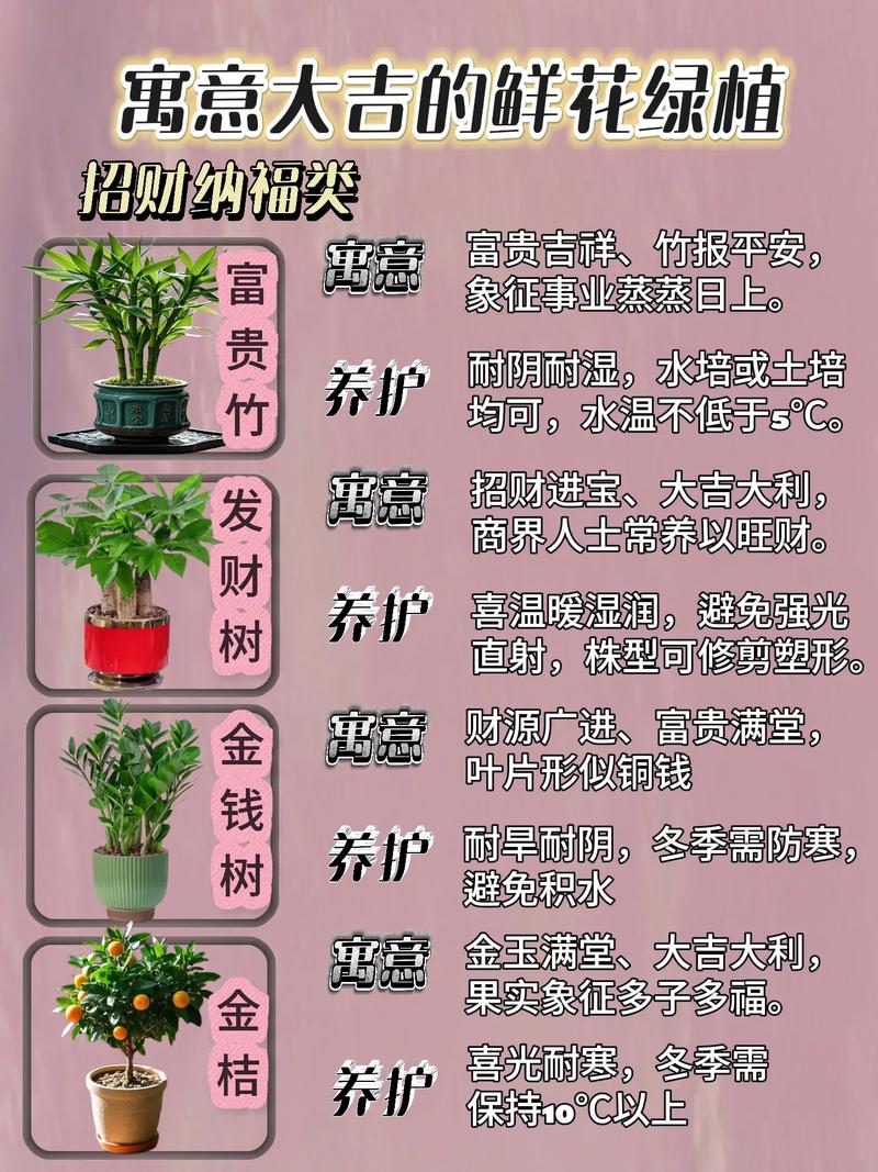 在屋前种植鲜花对风水有影响吗？