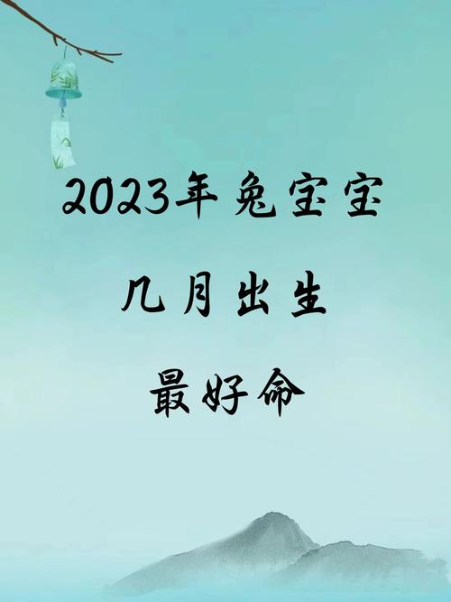 2023年出生的婴儿是什么命？