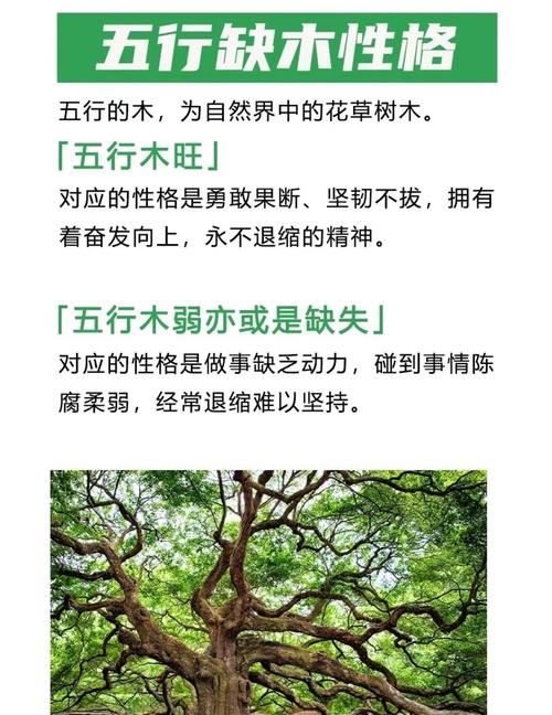 命里是木命五行缺什么五行缺木是属于什么命呢？