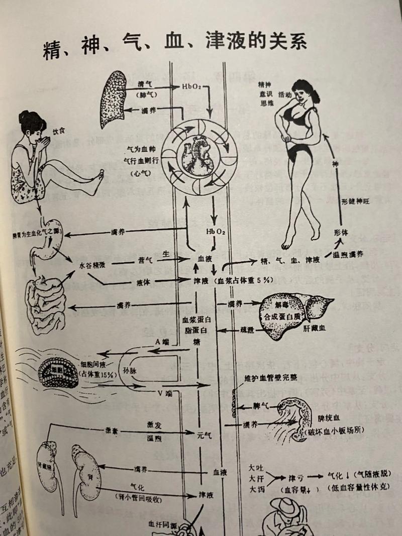 中医改命之法与失传绝学有哪些，至今仍需揭秘？