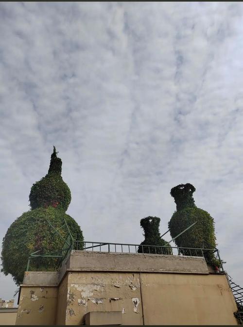 楼顶东西摆放杂乱，会对风水产生怎样的影响呢？