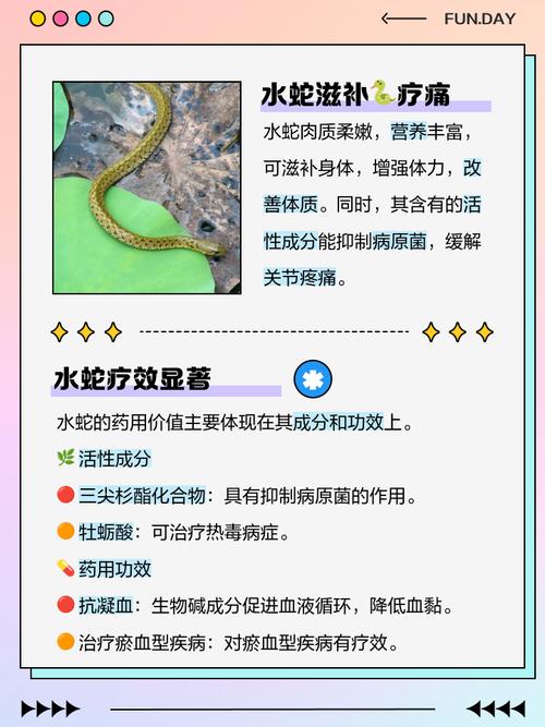 家里养蛇真的会影响风水，这是不是传说中的禁忌呢？