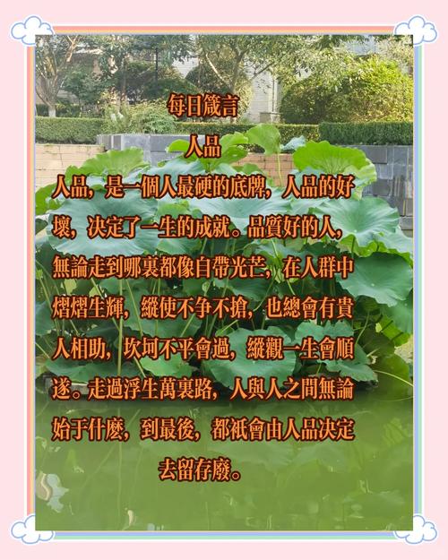 什么样的人品会决定什么样的命运，从而拥有富贵命呢？