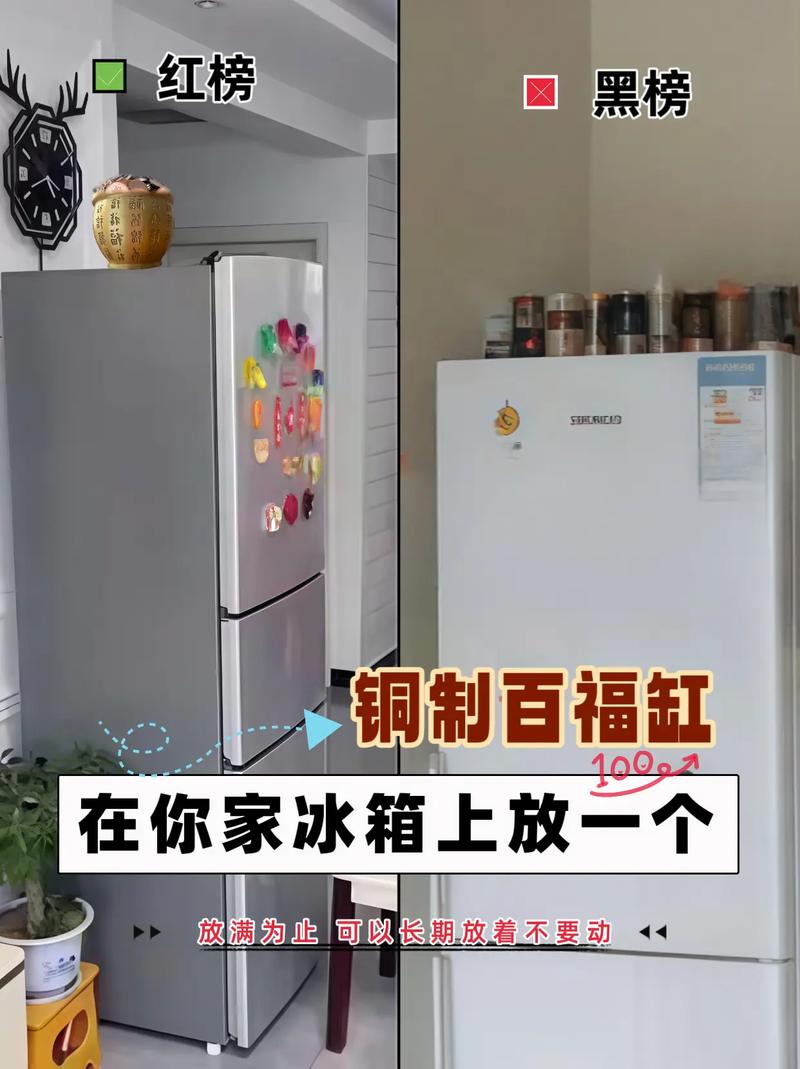 风水鱼缸放置在冰箱内是否必要？