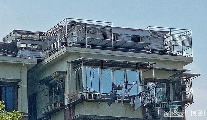 楼顶养鸽子对住宅风水有影响吗？