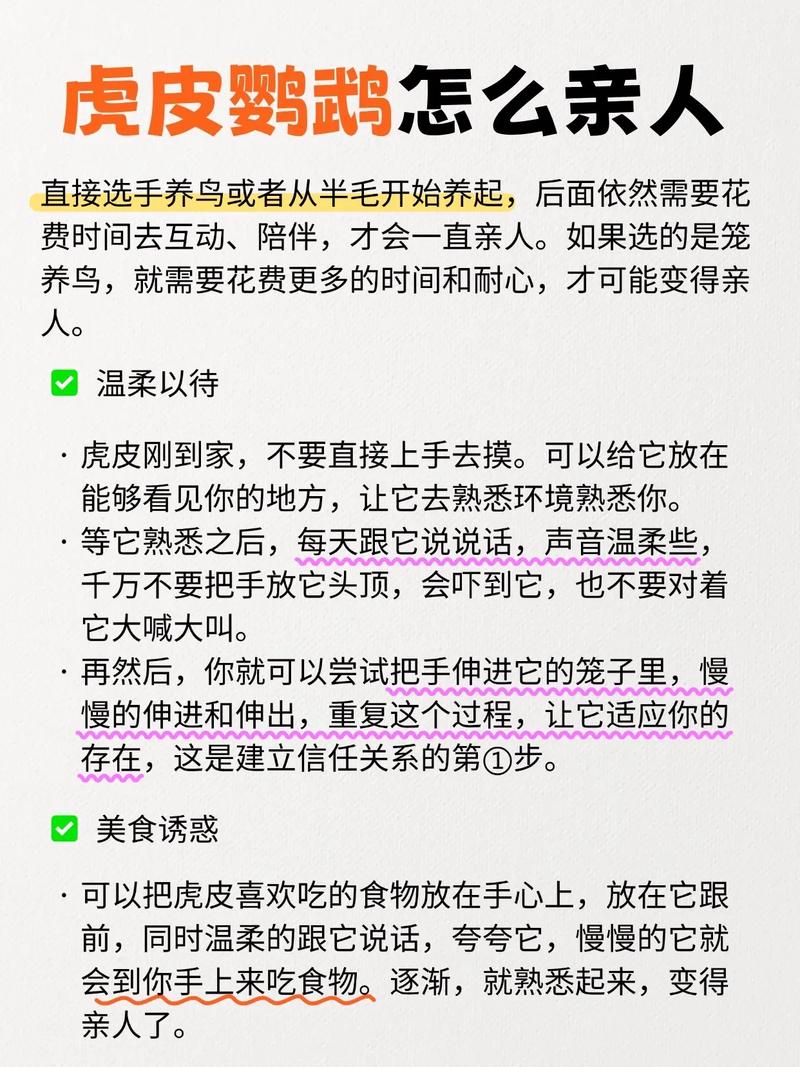 养虎皮鸟对家居风水有怎样的影响或作用？