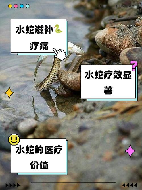 家里养蛇真的会影响风水，这是不是传说中的禁忌呢？