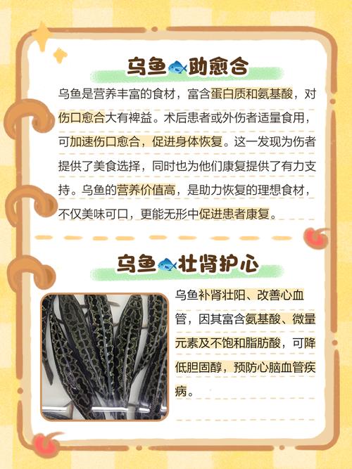 乌鱼适合养殖的地方风水好吗？