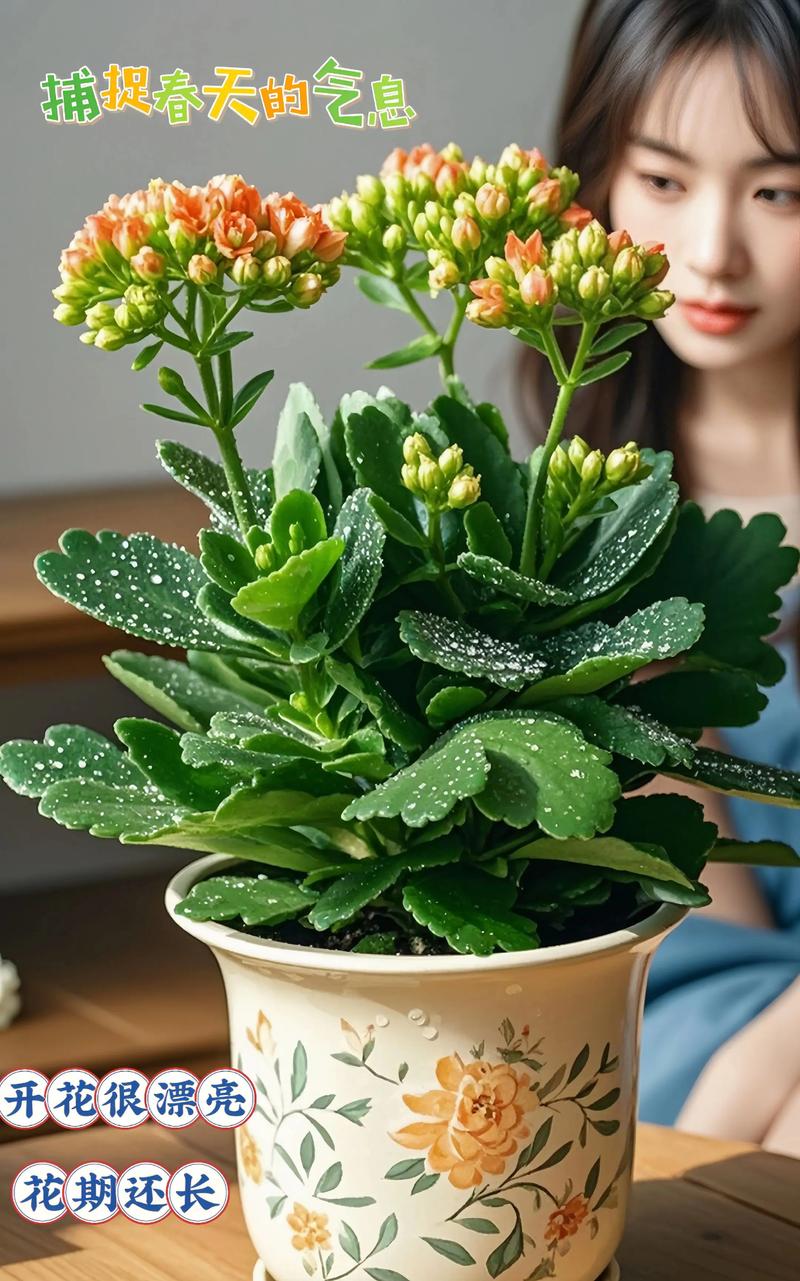 什么样的命相适合养什么花？养花高手通常拥有哪种命格？