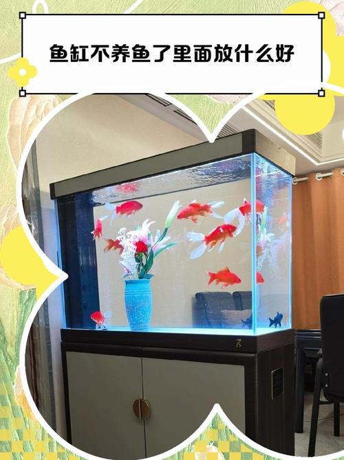 风水学里鱼缸可依长时间空置不养鱼吗？