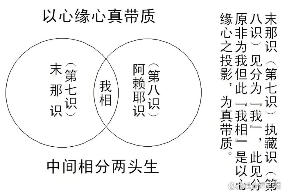 法命与慧命有何区别，法相指的是什么？