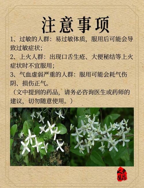 中药与风水之间是否存在某种关联性？