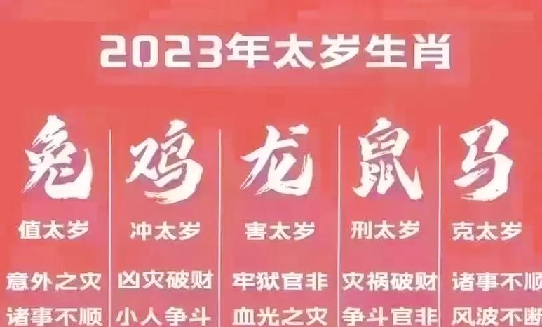 丙寅年出生的人2023年属什么命？
