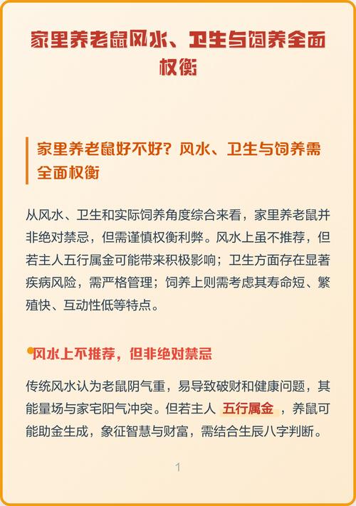 家里进耗子会影响风水吗？