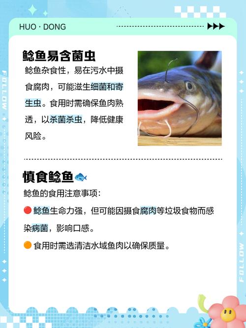 养鲶鱼对家居风水真的会有不良影响吗？
