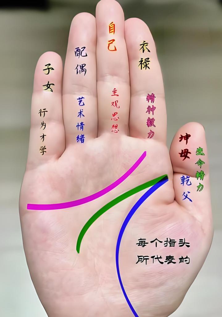 中指根部无肉无名指长于中指的男人命运如何？