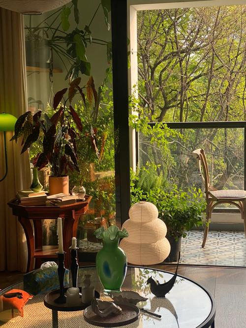 窗外的树对家居风水有何具体影响？