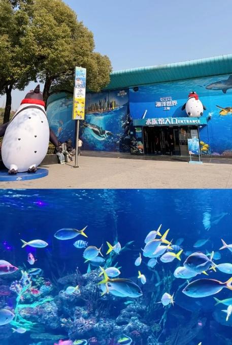 上海长风水族馆有哪些必玩项目？