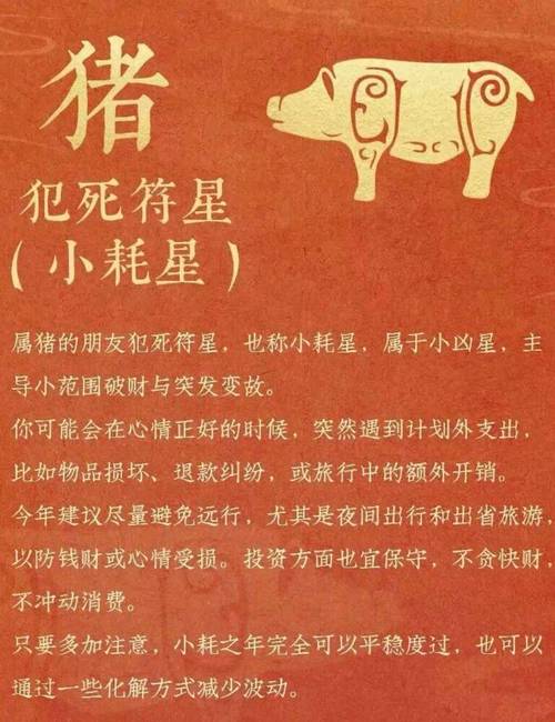 属猪49虚岁命运如何，50岁后能否人生辉煌篇章？