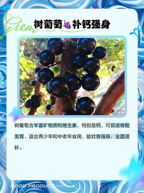 园内种植葡萄对风水有影响吗？