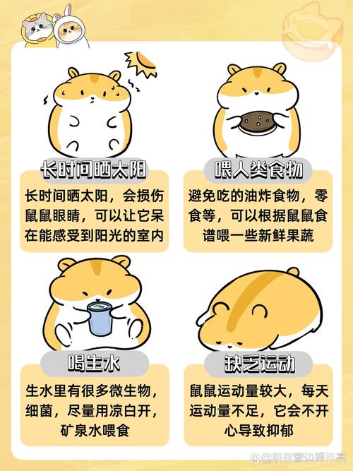 养仓鼠真的能避邪吗？这样的风水对家宅真的好吗？