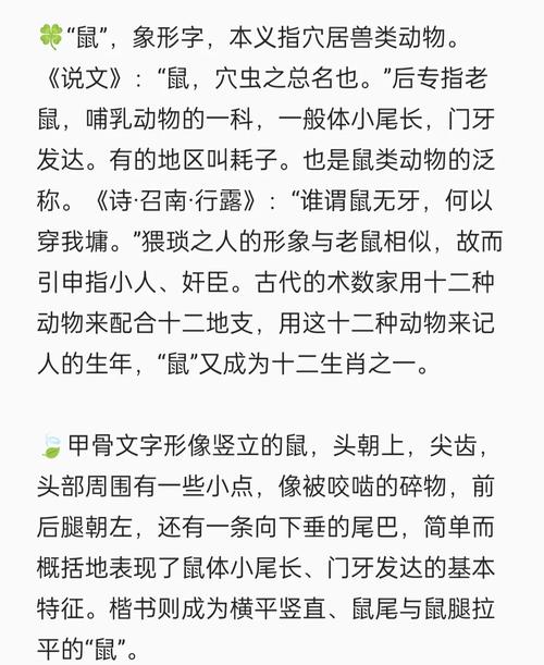 子时出生的女老鼠命运如何，？