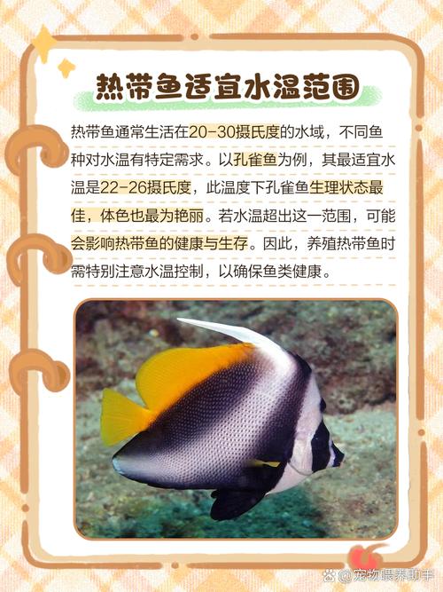 宝宝发烧期间，家里风水鱼可依正常清洗吗？