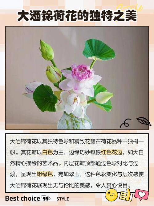 寺庙里养荷花对风水有好处吗？