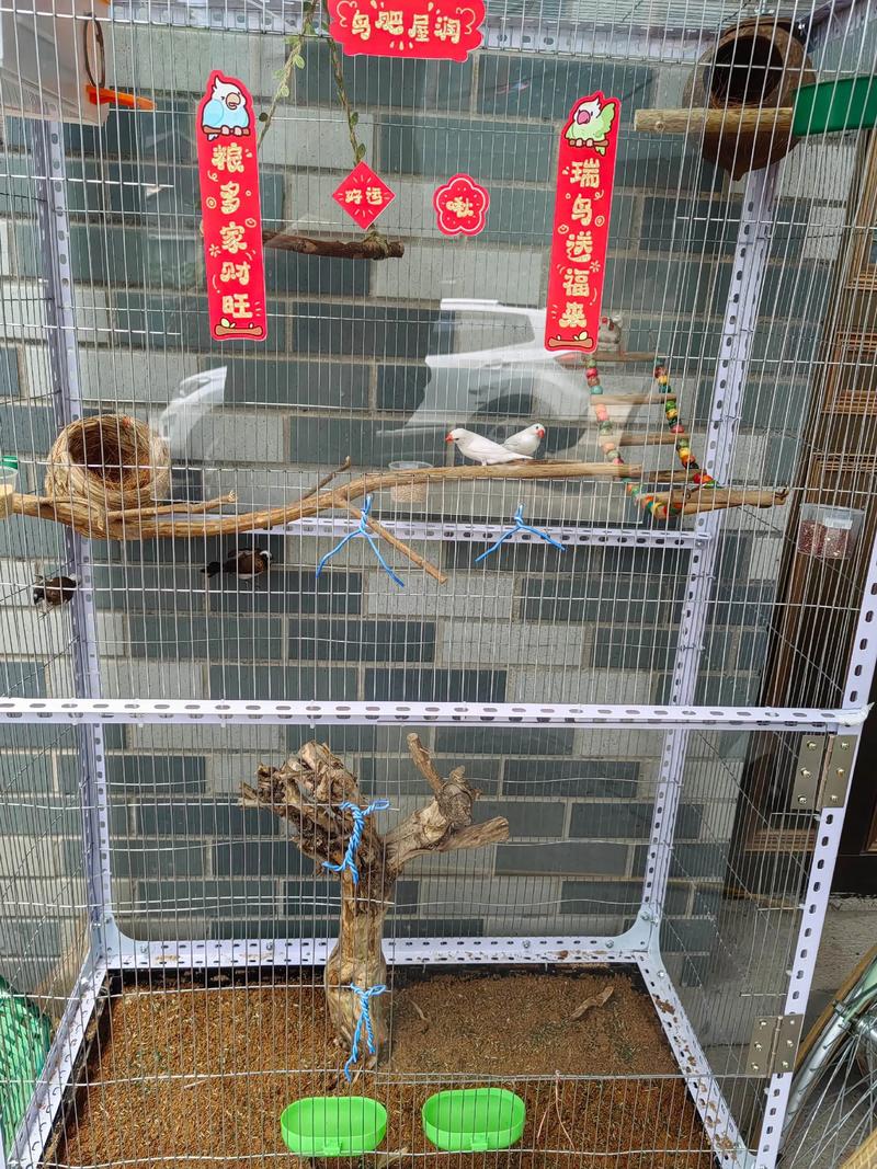 家里摆放笼子会对风水产生怎样的影响呢？