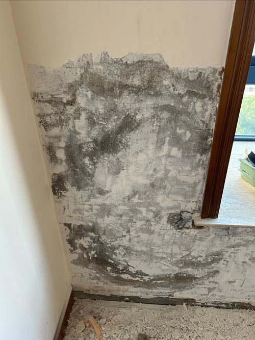 家里风水墙壁发霉，这样的环境还能安心居住吗？