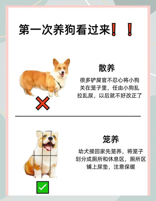 家里风水适宜养狗狗吗？有什么注意事项？