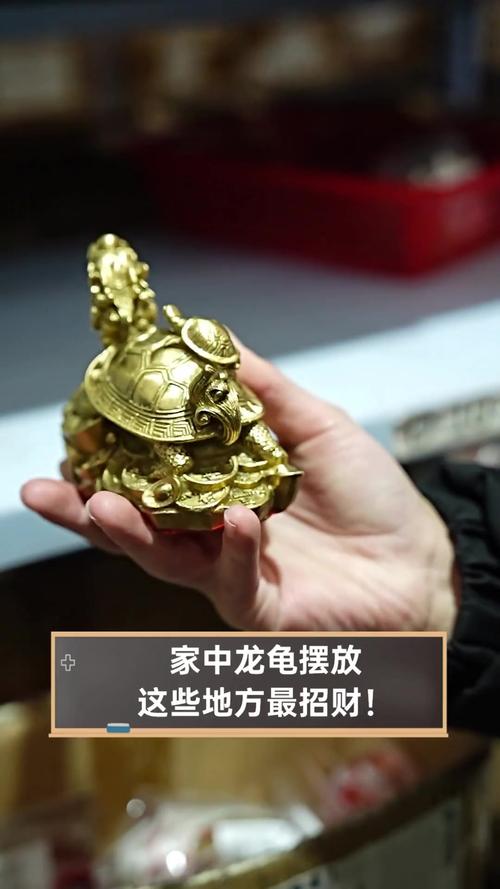 乌龟摆放在家中真的嫩起到改善风水的作用吗？