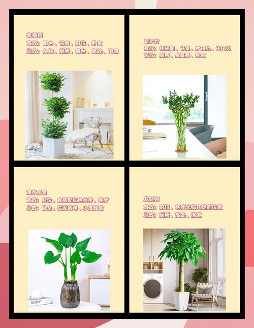 在风水布局中，捡起地上的花盆是否会影响家居运势？