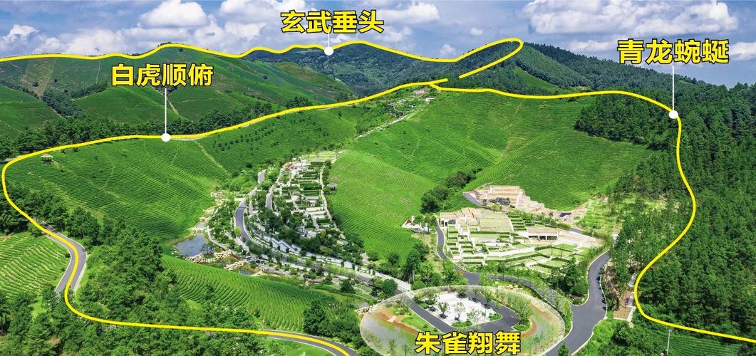 墓地周围种植红枫树，这样的风水布局是否吉利？