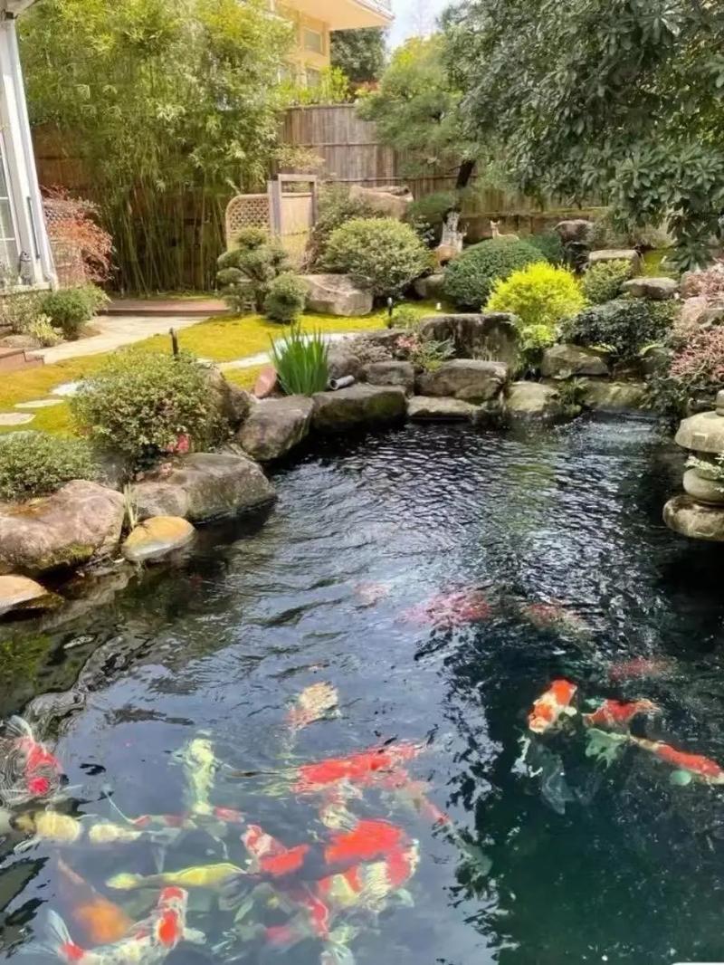 河边风水适宜养鱼吗？这地方适合养鱼吗？