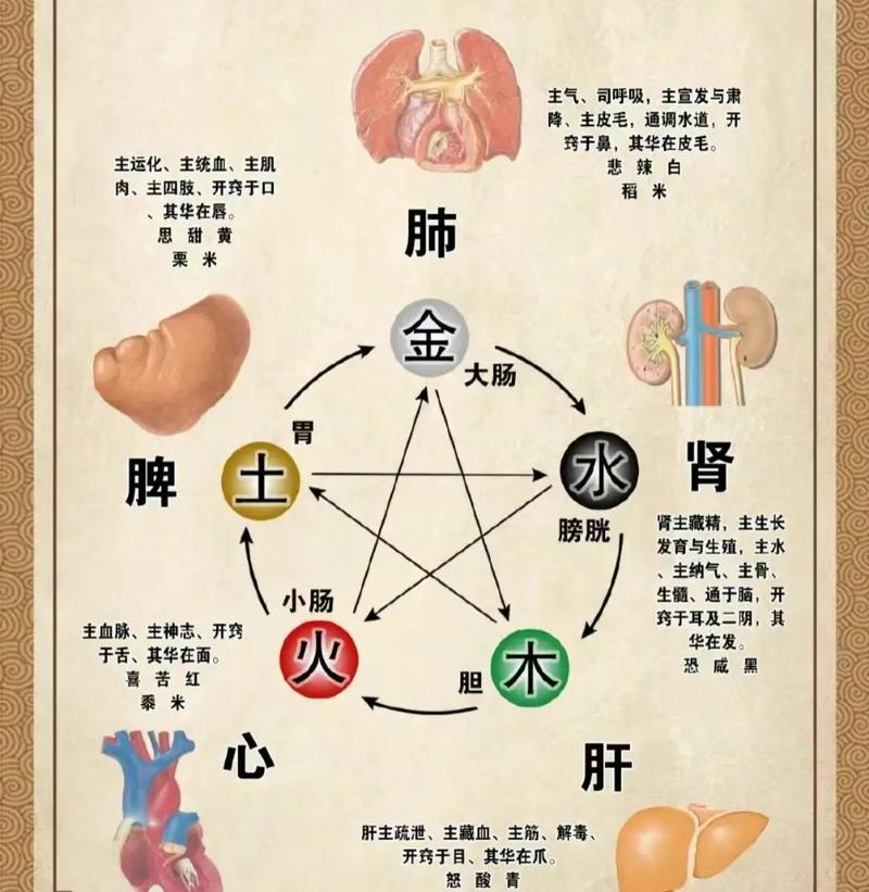 子息表中男命女命如何区分？子息三人具体指哪些人？