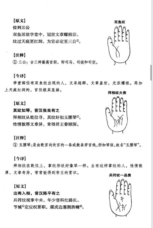 手背褶皱多是否意味着命运多舛？