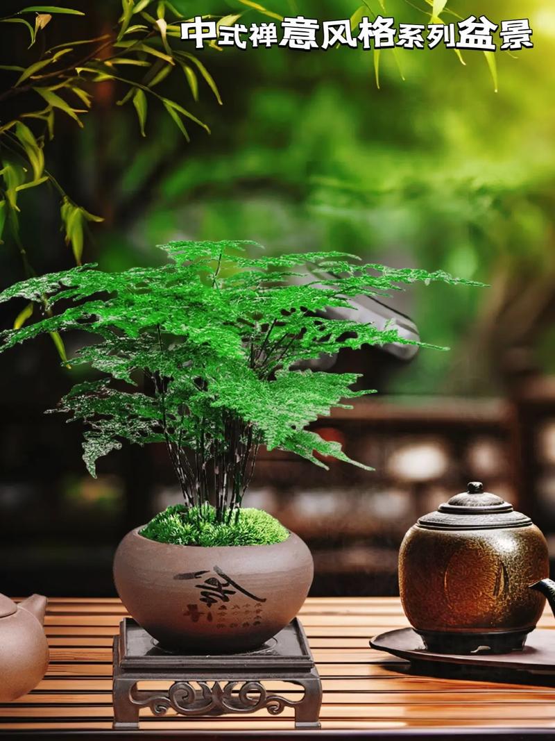 茶杯放在家里可以养护植物吗？这样的摆放风水上合适吗？