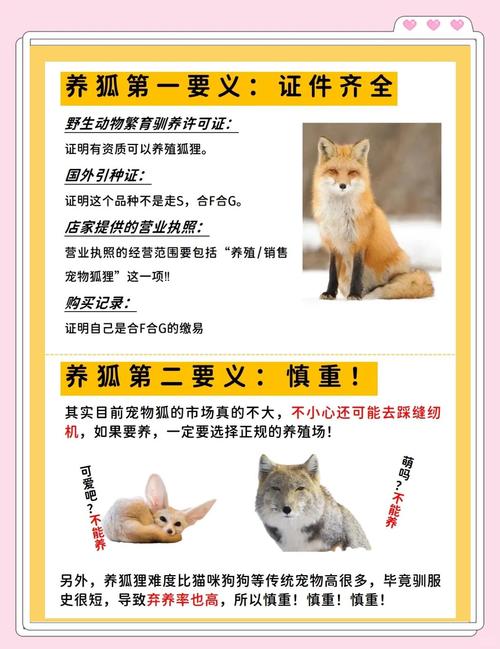 狐狸命的人有哪些特点？狐狸性格特点的女人有哪些表现？