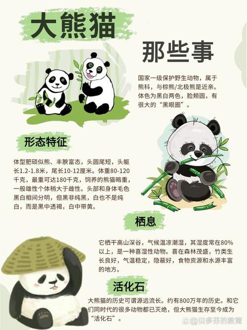 关于熊猫在风水学中究竟有哪些独特的说法，您是否有所了解？