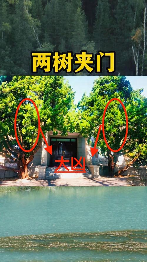 家门口两棵树对风水有影响吗？