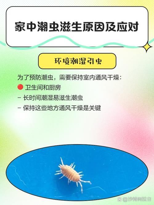 家里虫子滋生会影响家居风水吗？