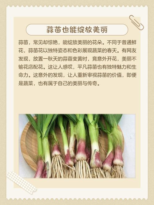 大蒜开花的风水讲究有哪些？