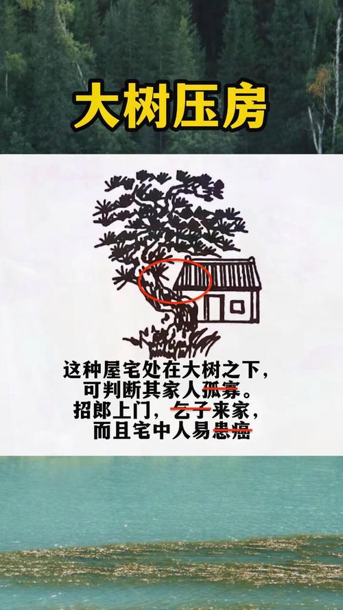 房子外面树木对风水有影响吗？