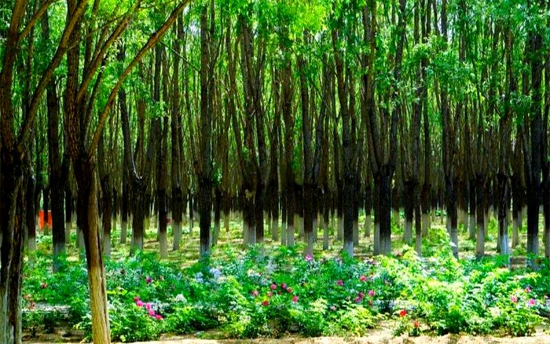 北京青龙湖的风水到底怎么样，有没有什么讲究呢？